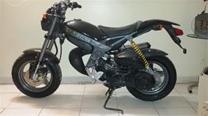  suzuki magic